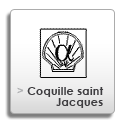 la coquille, poinçon utilisé pour l'or 14 carats